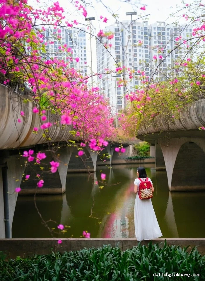 Góc dưới cây cầu hoa giấy Ecopark Hưng Yên lên ảnh đẹp nhất