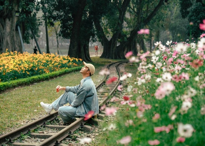 Công viên Thống Nhất Hà Nội: Điểm đến miễn phí xanh – thơ – thú vị ở trung tâm Thủ đô