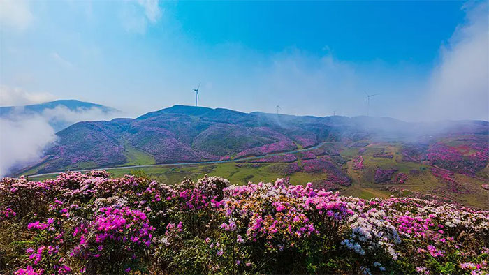 "Thành phố không dùng điều hòa" ở Trung Quốc: Người dân không biết nắng nóng là gì!