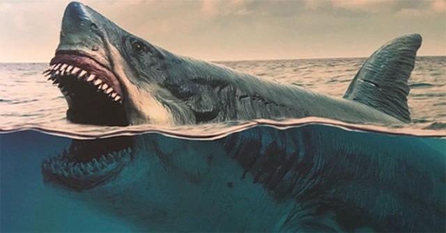 Loài cá quen thuộc này đã đẩy "quái thú" Megalodon tới bờ tuyệt chủng