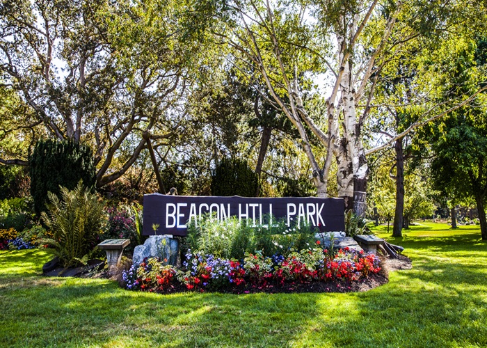 "Ốc đảo xanh" ở công viên Beacon Hill Canada