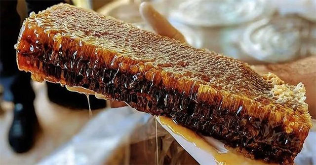 Loại mật ong đắt nhất thế giới, được mệnh danh là "mật ong của các vị thần"