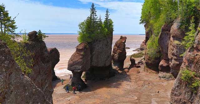 New Brunswick - Nơi khách du lịch có thể gặp "quái vật khổng lồ thời tiền sử"