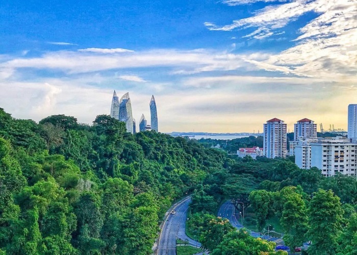 Khám phá công viên Kent Ridge Singapore như một khu rừng thu nhỏ  