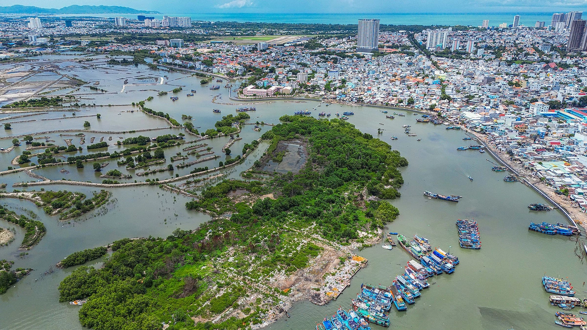 Nơi xây đường vượt biển Cần Giờ - Vũng Tàu trước ngày khởi công