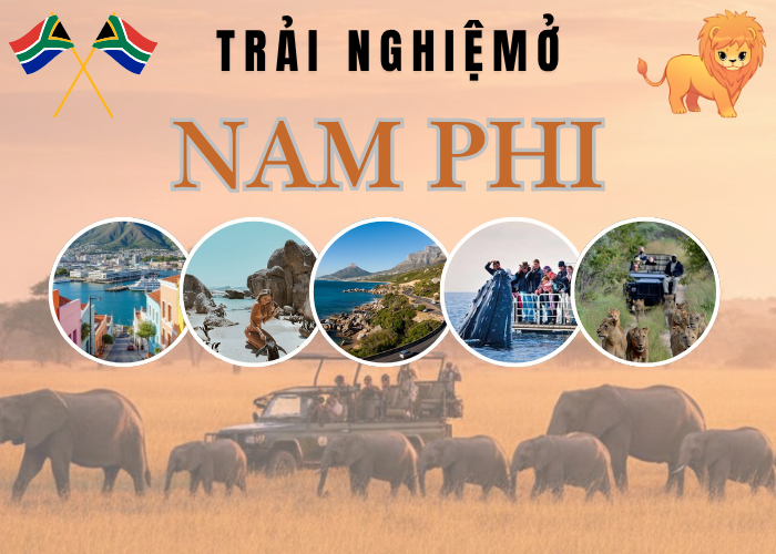 Từ safari tới ngắm cá voi: Trải nghiệm nên thử ở Nam Phi