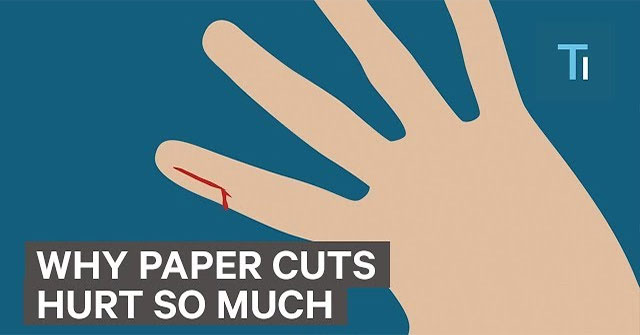 Vì sao đứt tay do giấy cứa đau hơn cả dao?