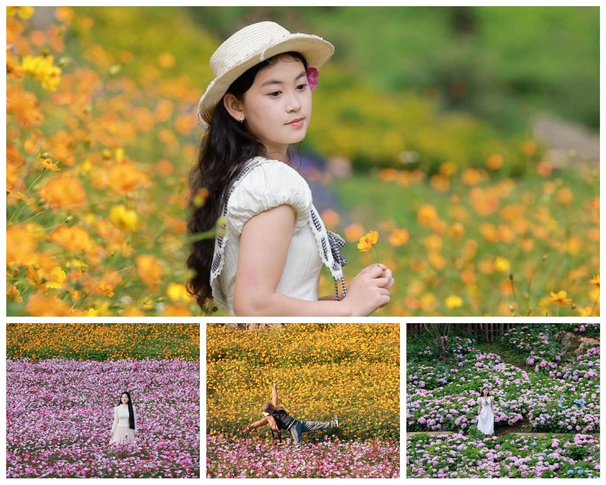 Thung lũng hoa Mộc Châu The Flora đẹp thế này, check in ngay thôi