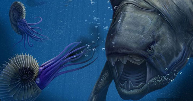 Cá Dunkleosteus: "Kẻ hủy diệt" của kỷ Devon