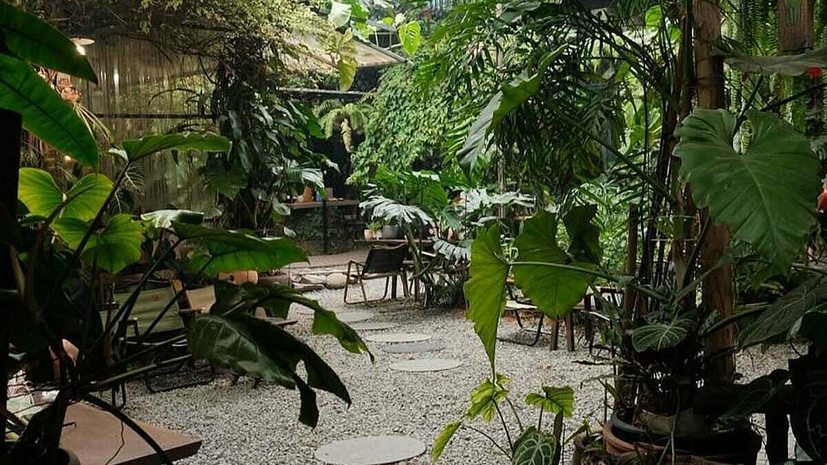 8 quán cà phê sân vườn để tận hưởng thu Hà Nội