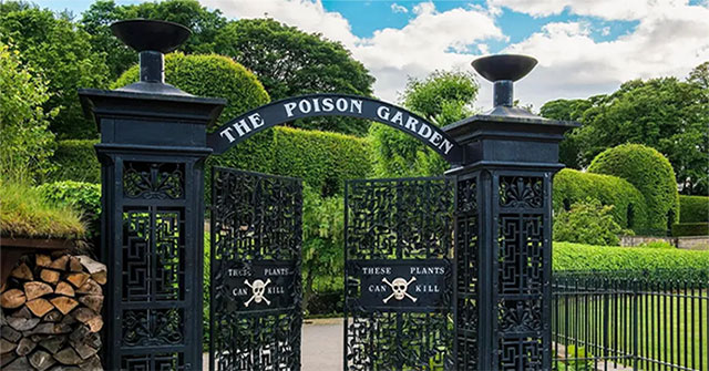 Poison Garden - Khu vườn chết chóc nhất thế giới