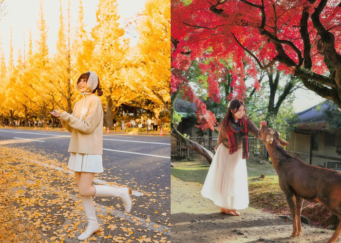 Tận hưởng sắc thu lãng mạn tại các địa điểm ngắm lá đỏ Nhật Bản