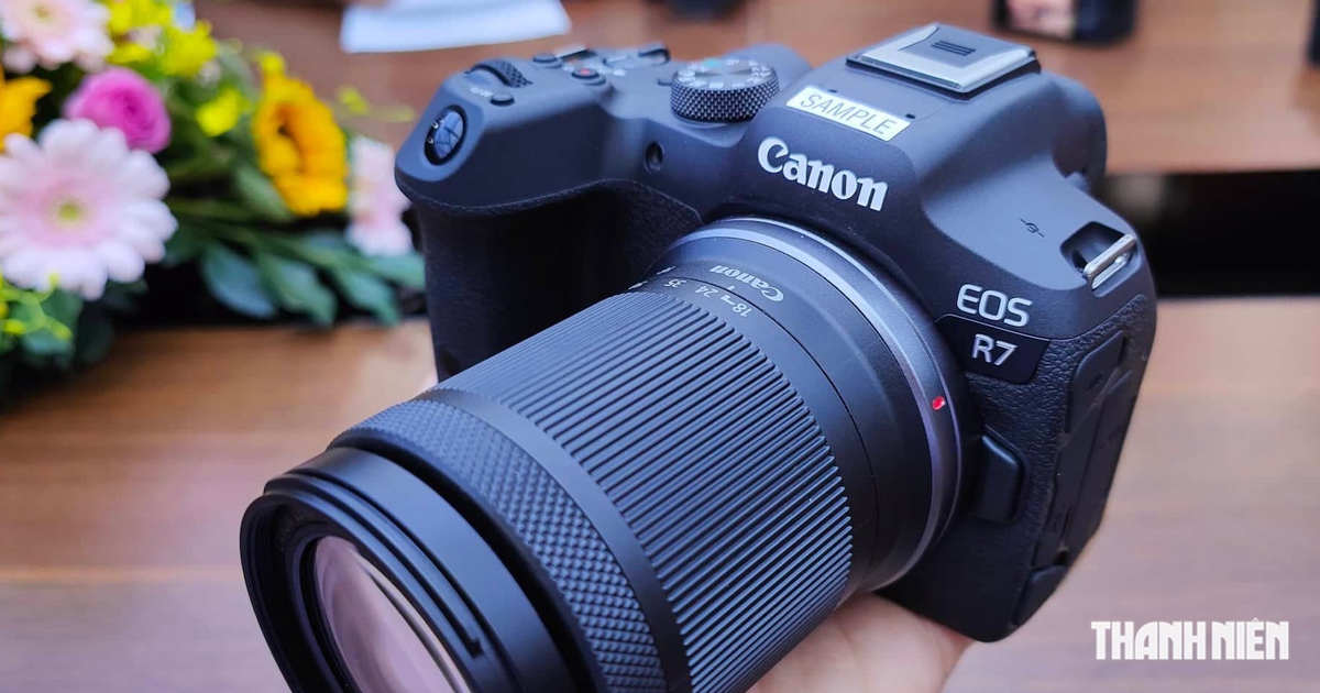 Lý do Canon vẫn được nhắc đến đầu tiên khi mua máy ảnh